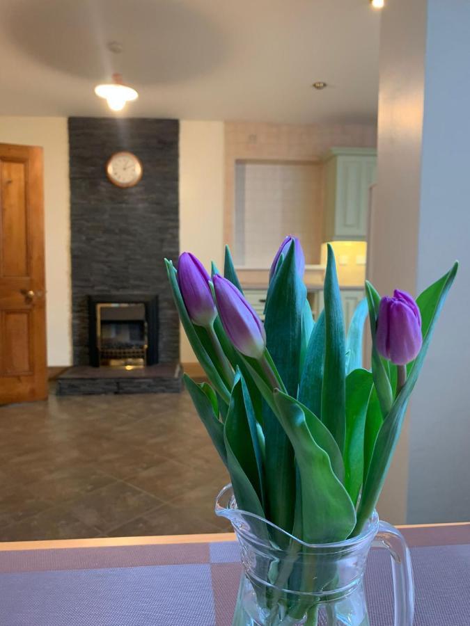 Ringfort Manor Rathfriland Kültér fotó